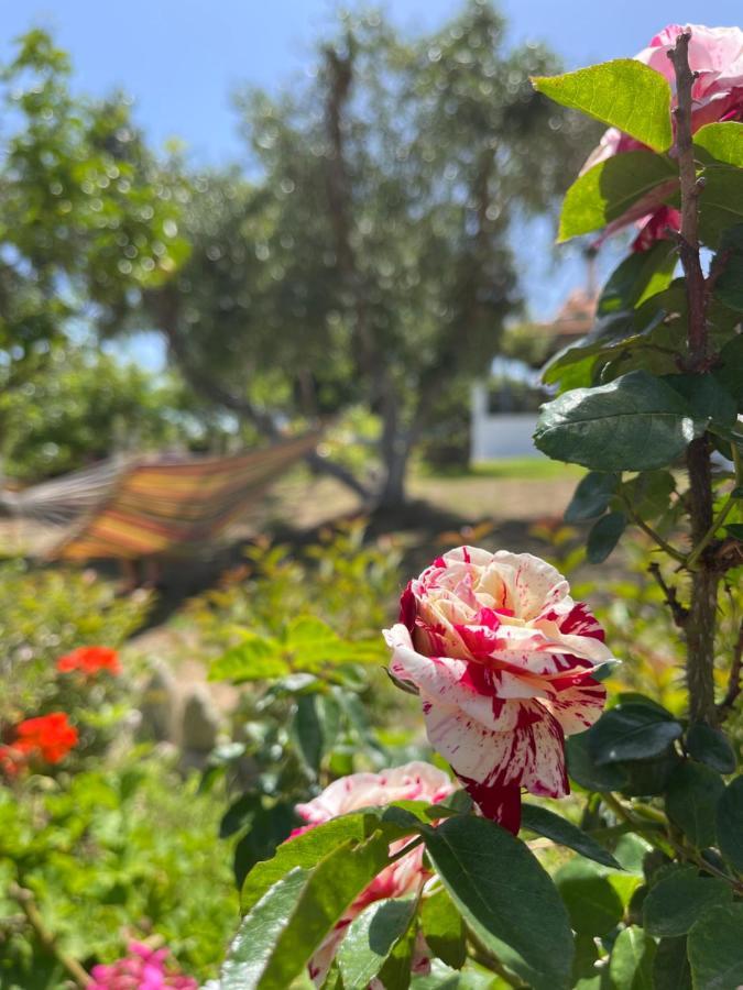 הוילה Halikounas Antigone'S Garden מראה חיצוני תמונה