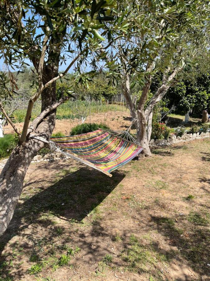 הוילה Halikounas Antigone'S Garden מראה חיצוני תמונה